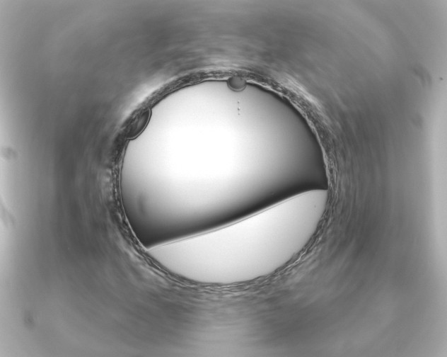 X0000091191208200708091016