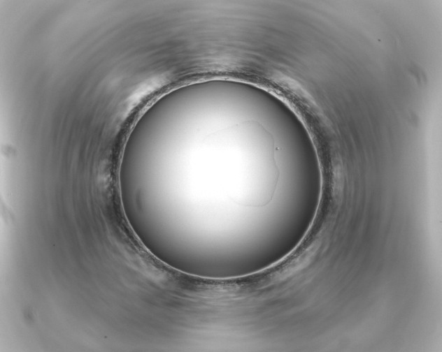 X0000091191210200708091016