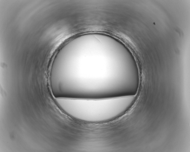 X0000091191212200708091016