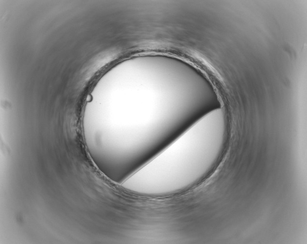 X0000091191213200708091016