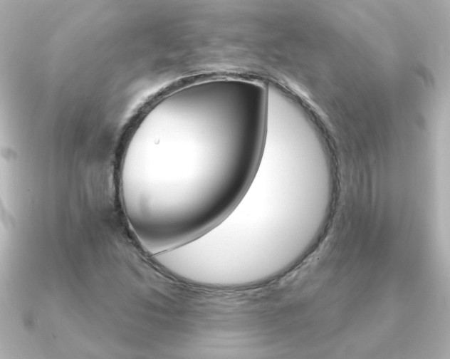 X0000091191214200708091016