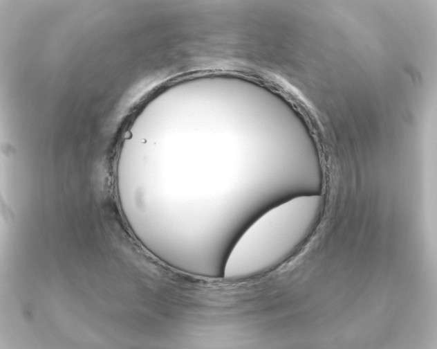 X0000091191215200708091016