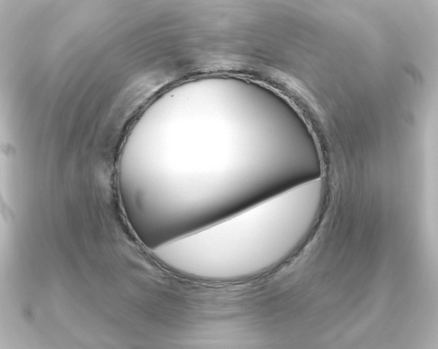 X0000091191217200708091016