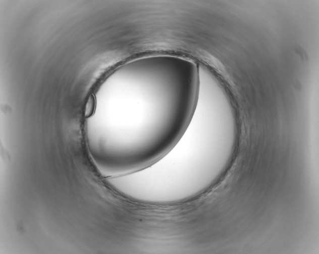 X0000091191218200708091016