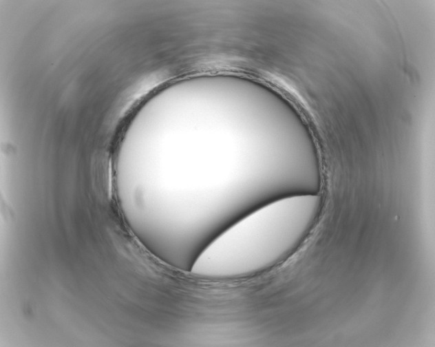 X0000091191219200708091016