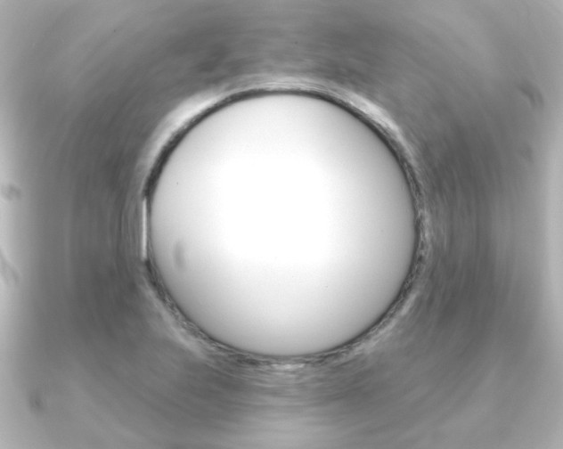 X0000091191223200708091016