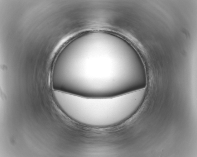 X0000091191224200708091016
