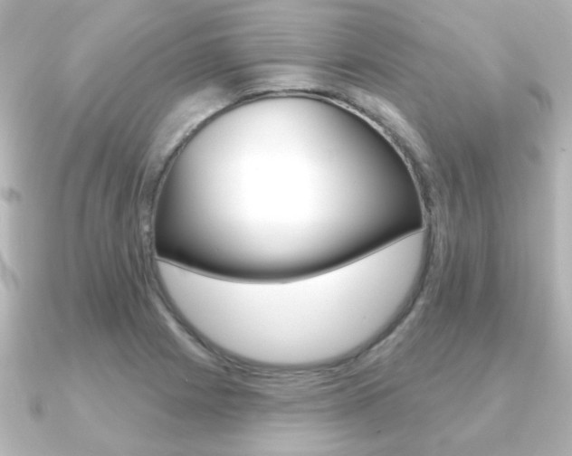 X0000091191225200708091016