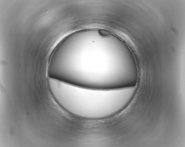 X0000091191228200708091016