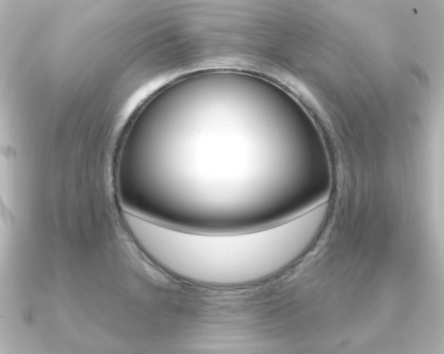 X0000091191230200708091016