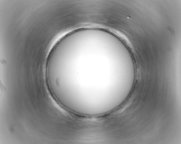 X0000091191231200708091016