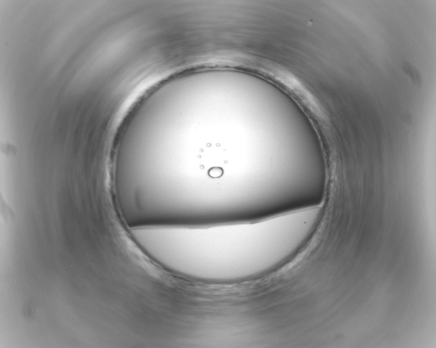 X0000091191232200708091016