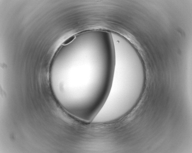 X0000091191234200708091016