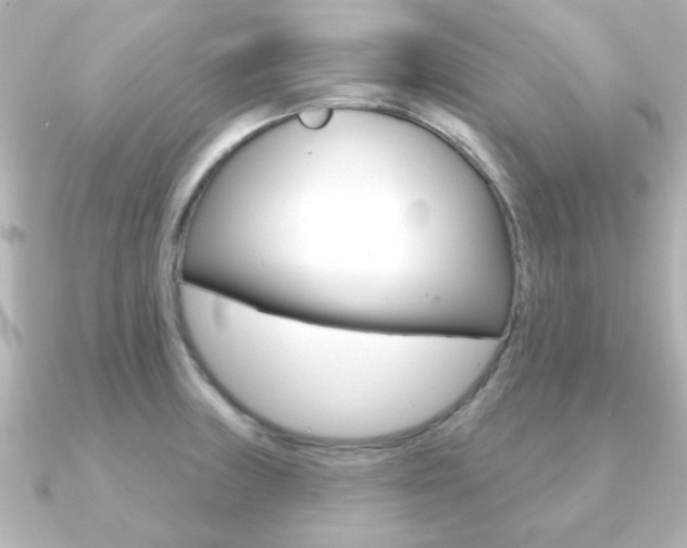 X0000091191235200708091016