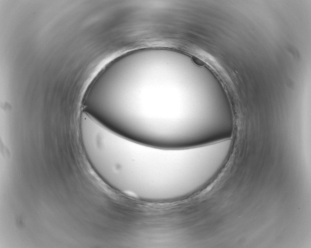 X0000091191236200708091016