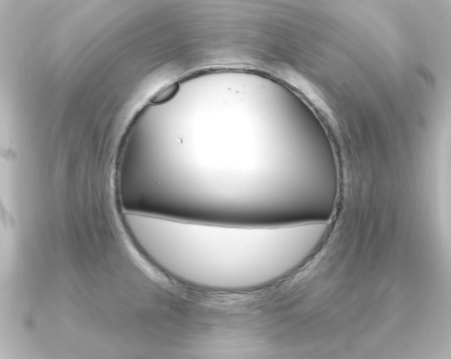 X0000091191237200708091016