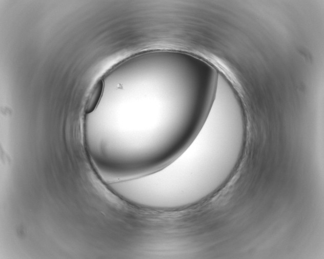 X0000091191238200708091016