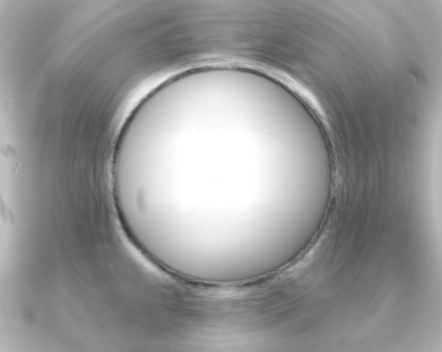X0000091191239200708091016