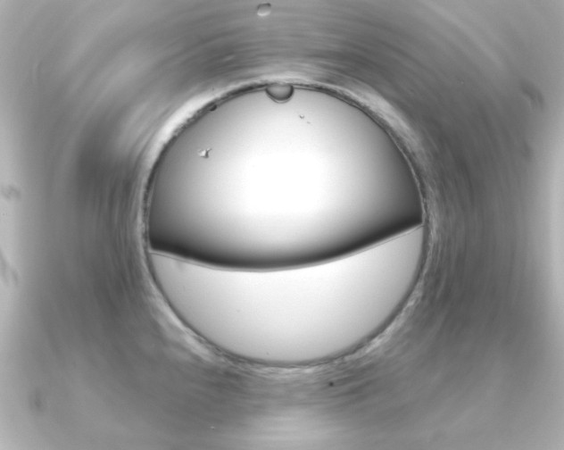 X0000091191240200708091016