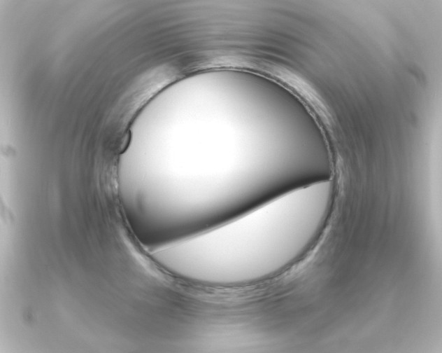 X0000091191241200708091016