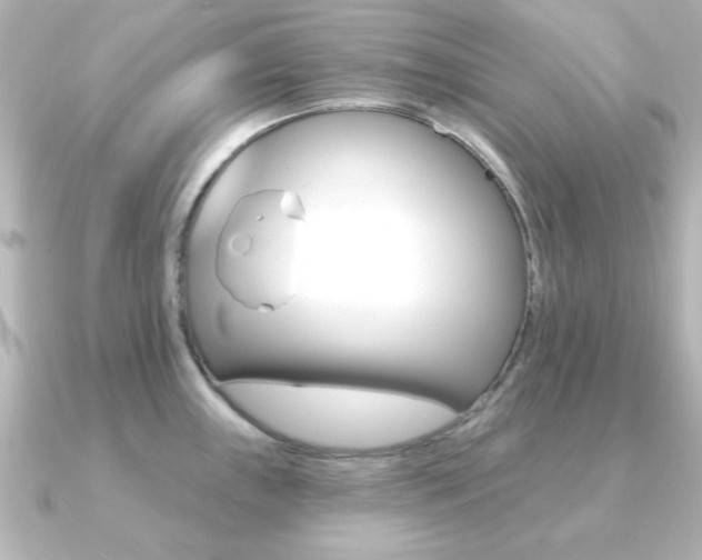 X0000091191243200708091016