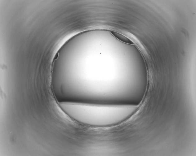 X0000091191244200708091017