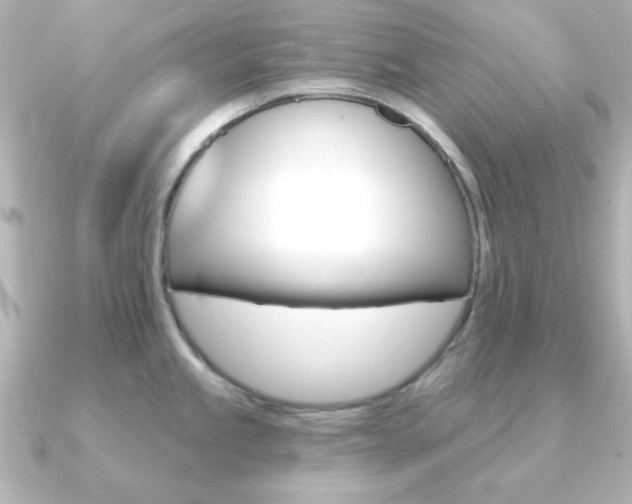 X0000091191245200708091017