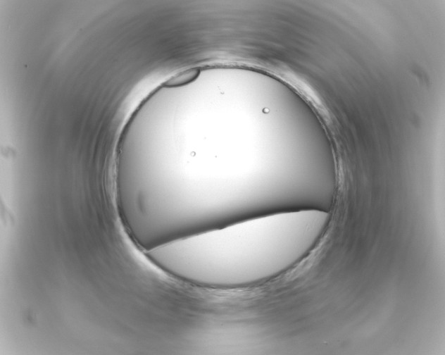 X0000091191247200708091017