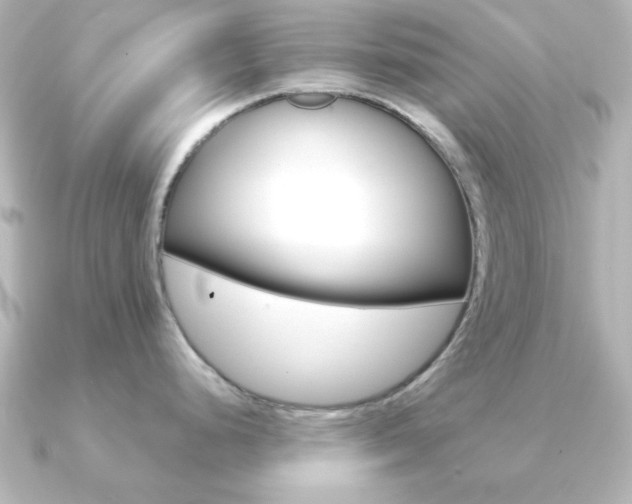 X0000091191248200708091017