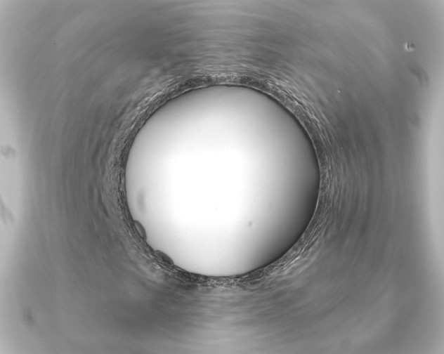 X0000091191249200708091016