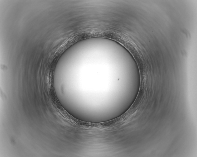 X0000091191250200708091016