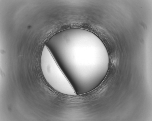 X0000091191252200708091016
