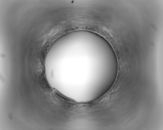 X0000091191253200708091016