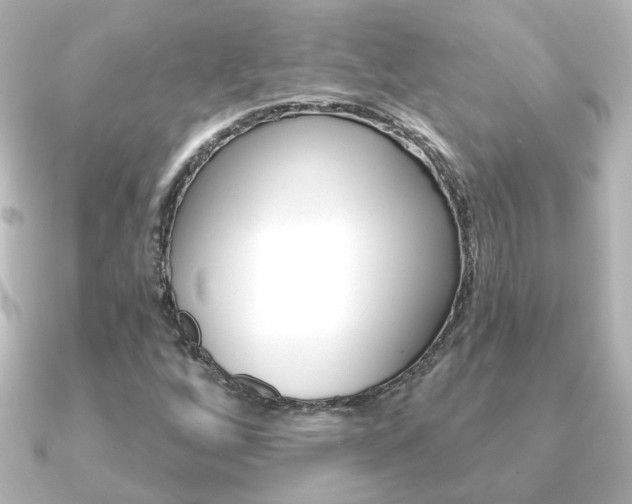 X0000091191256200708091016