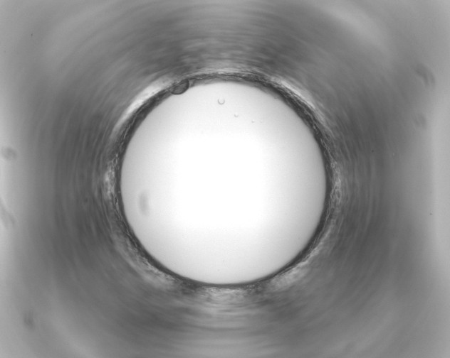 X0000091191258200708091016