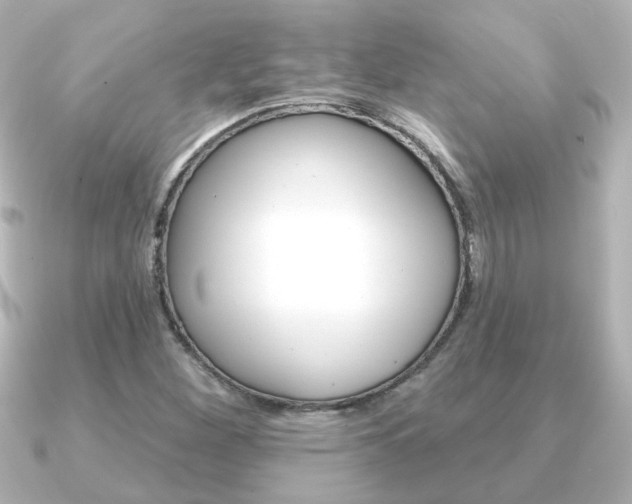X0000091191260200708091016