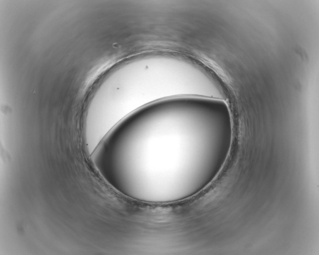 X0000091191261200708091016
