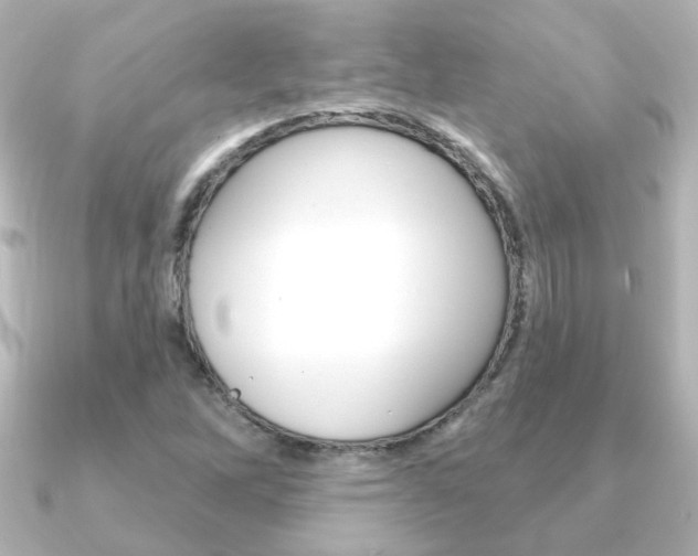X0000091191262200708091016