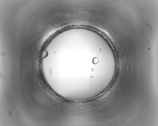 X0000091191263200708091016