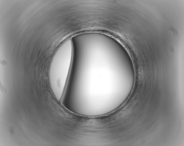 X0000091191265200708091016