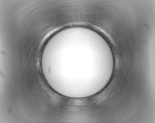 X0000091191266200708091016