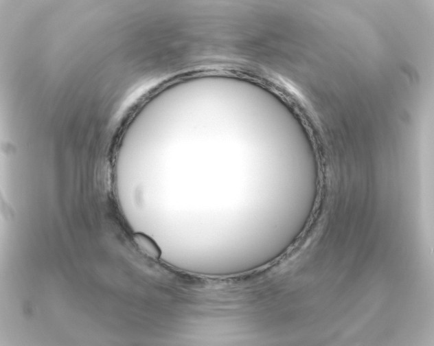 X0000091191267200708091016