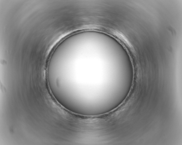 X0000091191268200708091016