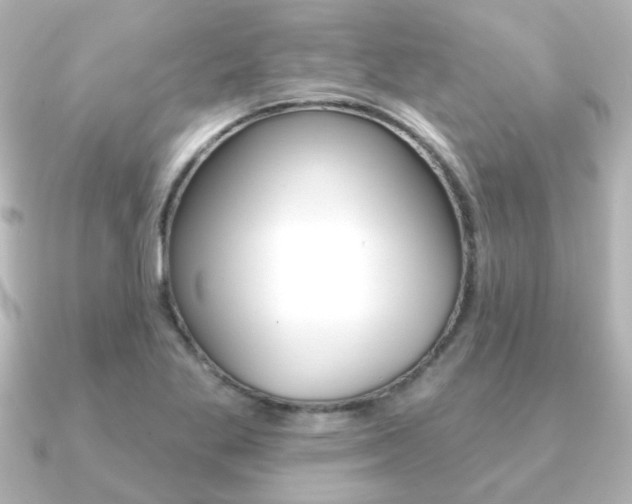 X0000091191269200708091016