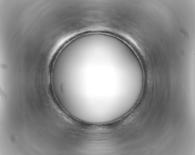 X0000091191270200708091016