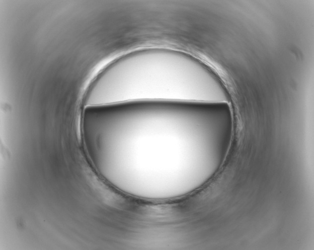 X0000091191272200708091016