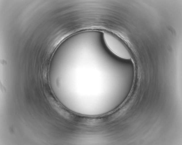X0000091191273200708091016