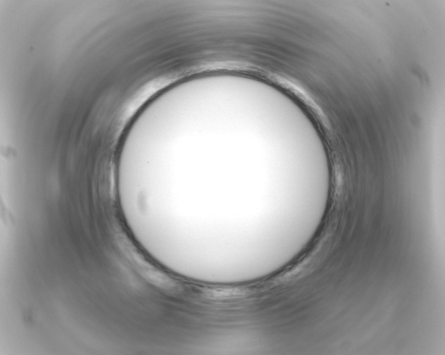 X0000091191274200708091016