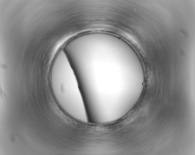 X0000091191275200708091016