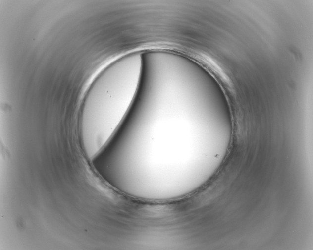 X0000091191276200708091016